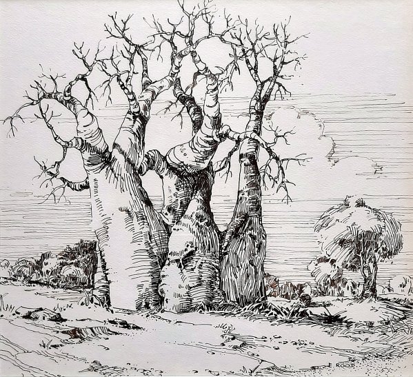 E Rood - Baobab 1